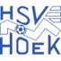 HSV胡克